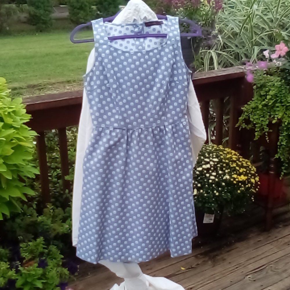 The Limited size 4 sleeveless dress